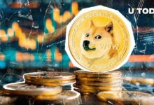 دوجكوين (DOGE) يتطلع لأكبر اختراق سعري، لكن هناك شرط!