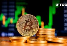 بيتكوين "أكتوبر الصعودي" على الأفق: تقرير يكشف توقعات ضخمة لأرباح BTC