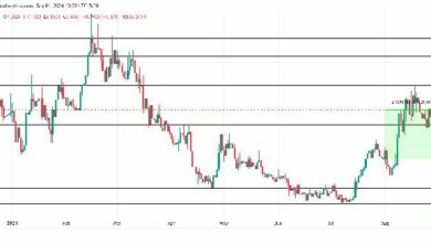 التداول في منطقة التراجع: هل يستطيع سعر HNT الوصول إلى علامة $10 قريباً؟