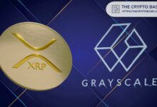 صندوق XRP من Grayscale يشهد نموًا بنسبة 11.44% في صافي قيمة الأصول منذ الإطلاق، مما يظهر زيادة في اهتمام المؤسسات