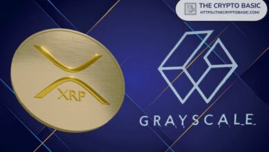 صندوق XRP من Grayscale يشهد نموًا بنسبة 11.44% في صافي قيمة الأصول منذ الإطلاق، مما يظهر زيادة في اهتمام المؤسسات