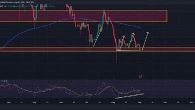 هل سترتفع عملة دوجكوين بنسبة 32%؟ الاتجاه الصعودي يشير إلى تحرك كبير