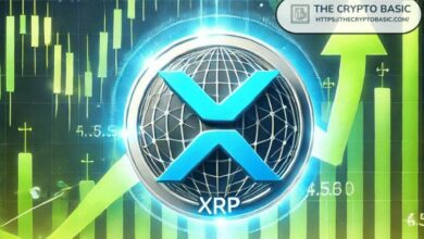 ثاني أكبر بنك خاص في تركيا يدعم الآن عملة XRP – اكتشف التفاصيل!