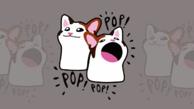 النمو المبهر لـPOPCAT يتفوق على العملات الرقمية الكبرى وعملات الميم: اكتشف المزيد!