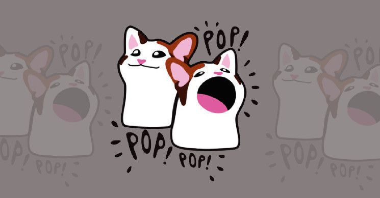 النمو المبهر لـPOPCAT يتفوق على العملات الرقمية الكبرى وعملات الميم: اكتشف المزيد!