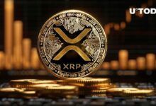 868 مليون دولار في XRP خلال 24 ساعة: عودة الحيتان؟ اكتشف الآن!