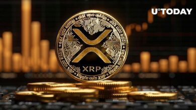 868 مليون دولار في XRP خلال 24 ساعة: عودة الحيتان؟ اكتشف الآن!