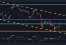 تحليل سعر الإيثيريوم: الثيران يستهدفون 3000 دولار حيث تحقق ETH مكاسب أسبوعية بنسبة 14%