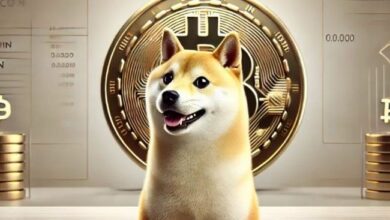 دوجكوين (DOGE) يكسر الدعم الرئيسي، لكن الثيران لا يتراجعون – انقر لمعرفة المزيد