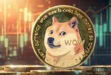 أبرز متداول يتنبأ بسوق صاعد لدوجكوين (DOGE) في 2025