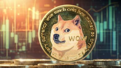 أبرز متداول يتنبأ بسوق صاعد لدوجكوين (DOGE) في 2025