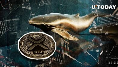 252 مليون XRP في نشاط حوت ضخم، هل هذا كافٍ؟