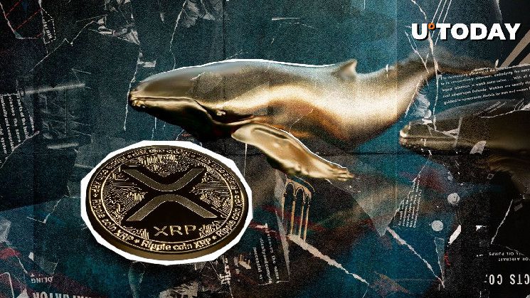 252 مليون XRP في نشاط حوت ضخم، هل هذا كافٍ؟