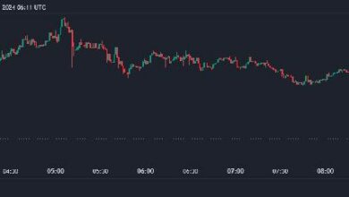 خفض سعر الفائدة الفيدرالي بنسبة 50 نقطة يجعل سعر البيتكوين يقفز إلى 62,000 دولار: فرص صعودية؟ اكتشف الآن!