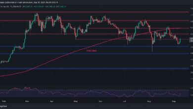 الهدف التالي للبيتكوين بعد ارتفاعه اليومي بنسبة 4%: تحليل سعر BTC