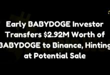 مستثمر BABYDOGE الأولي ينقل BABYDOGE بقيمة 2.92 مليون دولار إلى بينانس، مشيراً إلى عملية بيع محتملة - اكتشف المزيد!