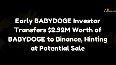 مستثمر BABYDOGE الأولي ينقل BABYDOGE بقيمة 2.92 مليون دولار إلى بينانس، مشيراً إلى عملية بيع محتملة - اكتشف المزيد!