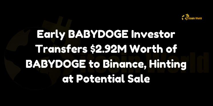 مستثمر BABYDOGE الأولي ينقل BABYDOGE بقيمة 2.92 مليون دولار إلى بينانس، مشيراً إلى عملية بيع محتملة - اكتشف المزيد!