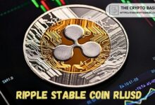 خبير مؤيد لـXRP يتصدى للشائعات حول عملة Ripple المستقرة - اكتشف الحقيقة الآن!