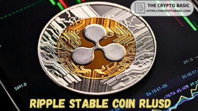 خبير مؤيد لـXRP يتصدى للشائعات حول عملة Ripple المستقرة - اكتشف الحقيقة الآن!