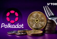 بولكادوت (DOT) يرحب بشكل مفاجئ بالتحديث الصعب لكاردانو (ADA) – اكتشف التفاصيل الآن!