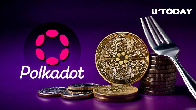 بولكادوت (DOT) يرحب بشكل مفاجئ بالتحديث الصعب لكاردانو (ADA) – اكتشف التفاصيل الآن!