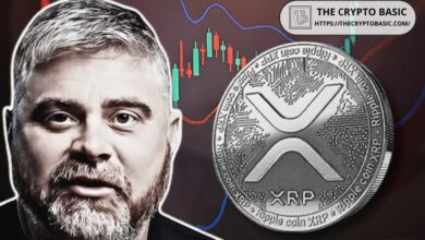 يصر بيت بوي على أن ISO 20022 صُممت من أجل XRP - اكتشف المزيد