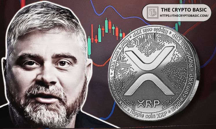 يصر بيت بوي على أن ISO 20022 صُممت من أجل XRP - اكتشف المزيد