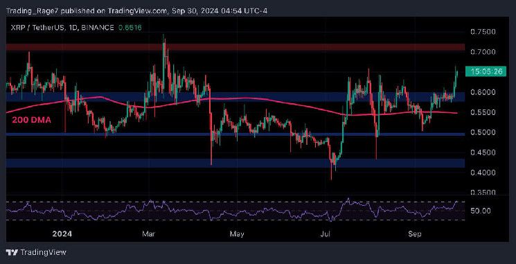 تحليل سعر ريبل: ارتفاع XRP بنسبة 10% خلال يومين، فهل انتهى الارتفاع؟