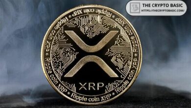 مؤسس العملات الرقمية يكشف سبب جديد لكره XRP - اكتشف المزيد