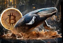 حوت بيتكوين خامد يدهش بينانس ببيع هائل للـ BTC – اقرأ التفاصيل!