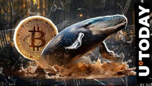 حوت بيتكوين خامد يدهش بينانس ببيع هائل للـ BTC – اقرأ التفاصيل!