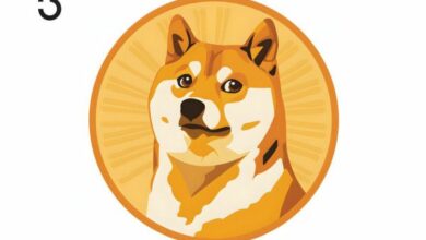 هل يجب عليك الاستثمار في دوجكوين (DOGE)؟ الرسوم البيانية، الإحصائيات، والتحليل لعام 2024