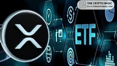 خبير يتوقع موعد إطلاق ETF لشركة XRP ويؤكد أنها ستسبق سولانا