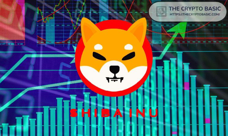 شيبا إينو نحو 0.00017 دولار: خبير يحدد هدف سعر SHIB الواقعي