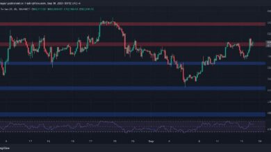 تحليل سعر البيتكوين: بعد خفض معدلات الفائدة، ما الخطوة التالية لـ BTC؟