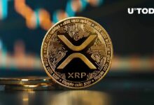 مئة مليون XRP في 24 ساعة — اكتشف ما يحدث