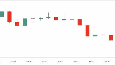 بيتكوين تنخفض إلى أقل من 57 ألف دولار مع استمرار عمليات البيع عند الارتفاع