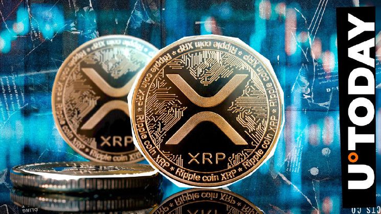 سعر XRP يتراجع إلى $0.6: اكتشف السبب الدقيق الآن