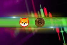 سعر شيبا إينو (SHIB) يرتفع لأعلى مستوى في 3 أشهر، بيتكوين (BTC) تصل إلى 66.5 ألف دولار (مراقبة عطلة نهاية الأسبوع)