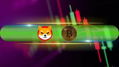 سعر شيبا إينو (SHIB) يرتفع لأعلى مستوى في 3 أشهر، بيتكوين (BTC) تصل إلى 66.5 ألف دولار (مراقبة عطلة نهاية الأسبوع)