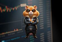 استعدوا لإدراج Hamster Kombat على Binance Launchpool وسط الجدل القائم