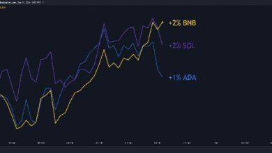 توقعات أسعار BNB، SOL، و ADA ليوم 17 سبتمبر