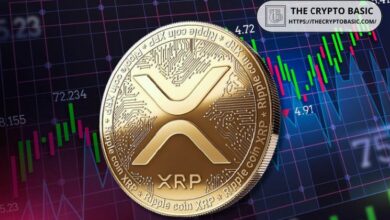 خمس أسباب جوهرية للبقاء متفائلين بشأن XRP وفقًا لخبير الصناعة – اكتشف الآن!