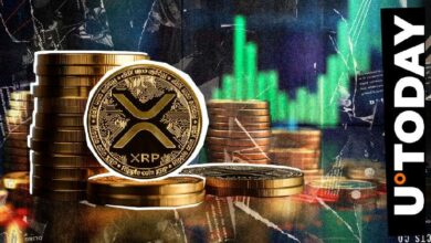 هل سترتفع XRP إلى 4.20؟ مؤشر بولينجر يضيق لمستوى غير مسبوق منذ 2016