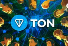 ارتفاع نشاط TON DEX، هيمنة STON.Fi تجذب اهتمام المستثمرين