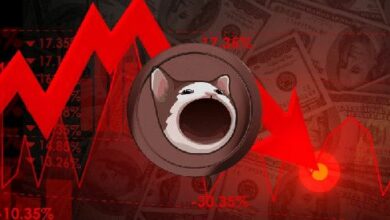 انخفاض سعر POPCAT إلى أقل من $0.65: هل ستتعافى قيمة عملة SOL ميمكوين؟