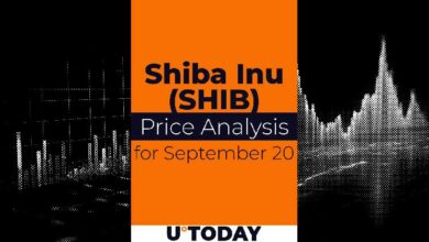 توقعات سعر Shiba Inu ليوم 20 سبتمبر - تعرف على التفاصيل