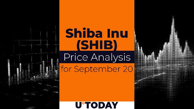 توقعات سعر Shiba Inu ليوم 20 سبتمبر - تعرف على التفاصيل