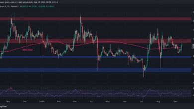 تحليل سعر الريبل: ما هي أهداف XRP القادمة بعد تحقيق مكاسب يومية بنسبة 7٪؟